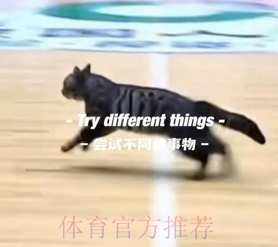 首节末段一只猫跑入球场，广东暂领先四川10分